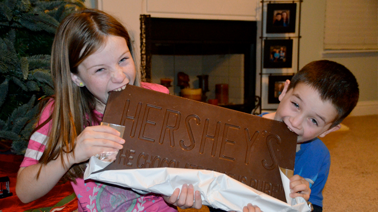 Giant Hershey Bar