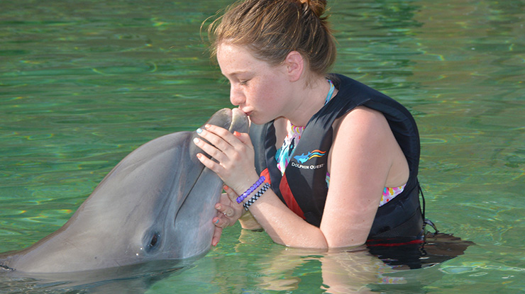Dolphin Quest Hawaii