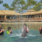 Dolphin Quest Hilton Waikoloa Village