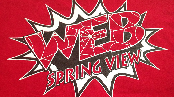 WEB Spring View Middle School